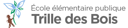 Retour vers l'accueil