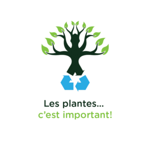 Les_plantes_cest_important_3e_800x800-1-300x300.png