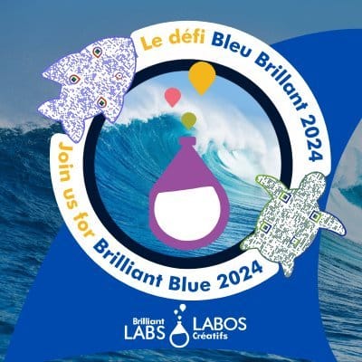 Logo du projet Défi Bleu